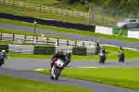 Lower Group Red Bikes